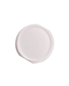 iPad Mini Compatible Home Button White