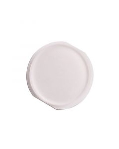 iPad Mini Compatible Home Button White